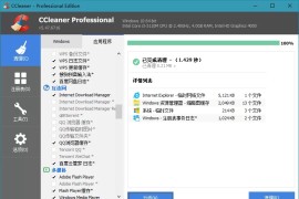 CCleaner v6.20.10897 专业版中文注册便携版