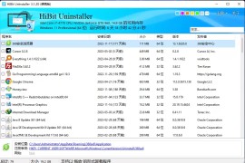 HiBit Uninstaller v3.1.81 – 免费、轻量Windows 软件卸载、清理工具