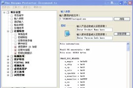 The Enigma Protector v7.40 x86 x64 绿色开心版 – 软件授权保护工具