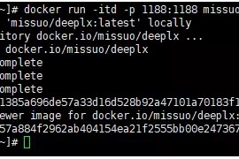 来搭建免费不限量的DeepLX翻译服务吧！