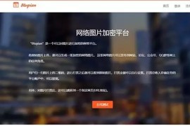 8tupian图片加密平台源码