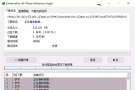 解决123网盘无法使用IDM下载的妙招：一步步取消代理，轻松畅享下载