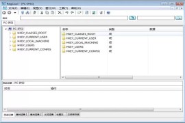 RegCool v1.353 绿色便携版：免费注册表编辑管理工具