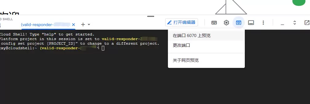 免费白嫖谷歌云RDP远程桌面，无需信用卡，享受可视化VPS 第2张